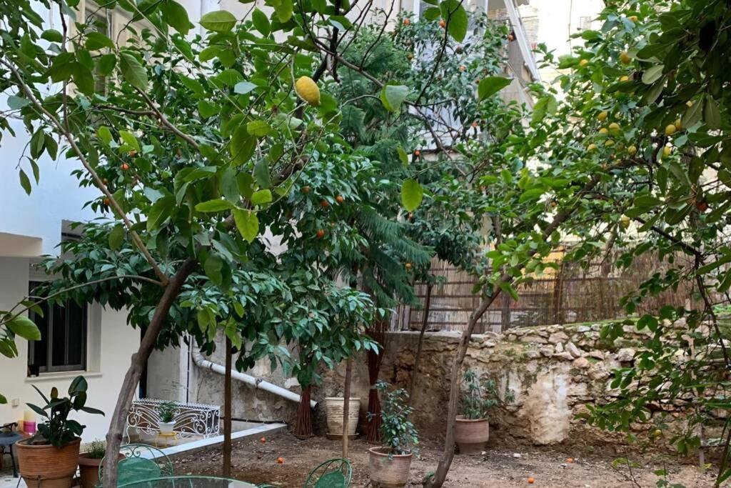 Quiet And Central Flat With Private Backyard Garden Atény Exteriér fotografie